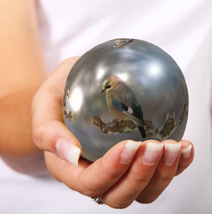 Verantwortung beim Schamanen München lernen