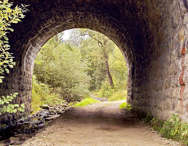 Der Weg zum Schamanen München